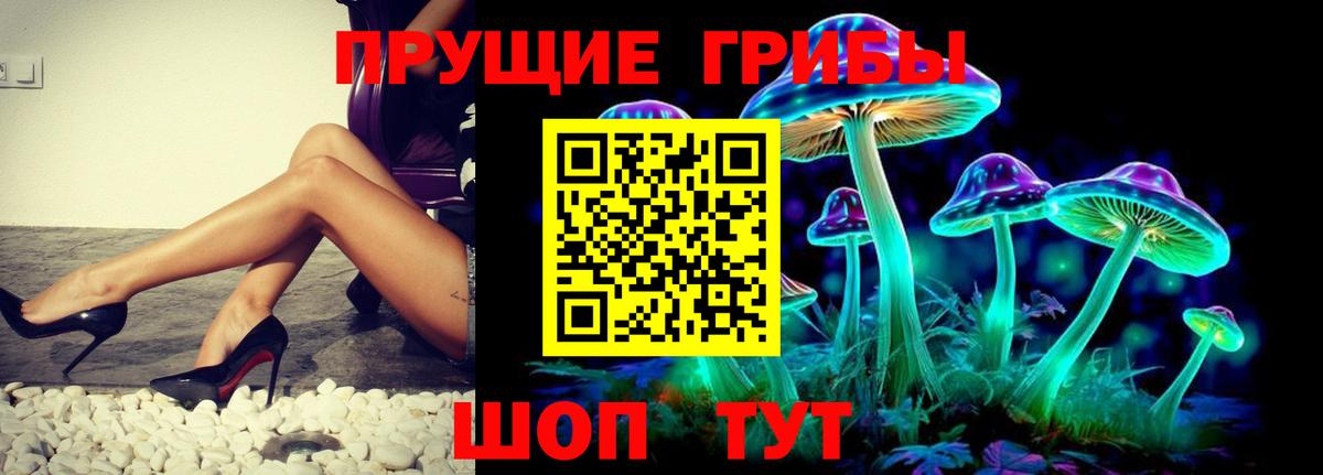 Галлюциногенные грибы Psilocybe Кропоткин